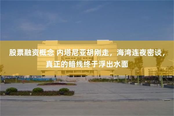 股票融资概念 内塔尼亚胡刚走，海湾连夜密谈，真正的暗线终于浮出水面