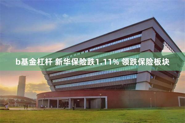 b基金杠杆 新华保险跌1.11% 领跌保险板块